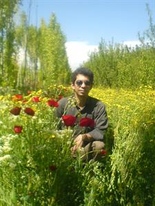 User Image
