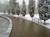 یک روز زمستانی پارک ملت مشهد
