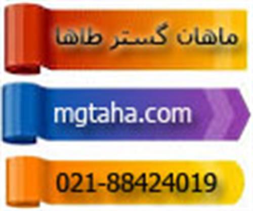 اعطای نمایندگی 