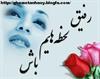 rafigh