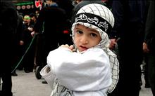 mostafa - nabi.t