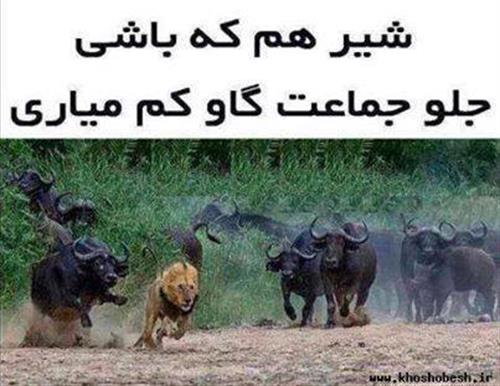 سایت گردشگری گیلانwww.igilan.com