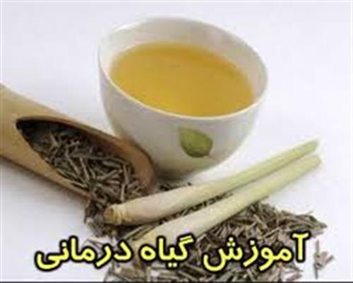 داروهای گیاهی-موادگیاهی دعانویسی
