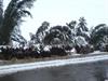 زمستان در یکی از شهرهای شیراز 