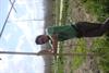 mid