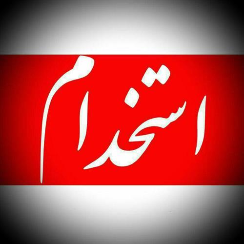 استخدام کارمند و کارآموز آشنا به وردپرس 