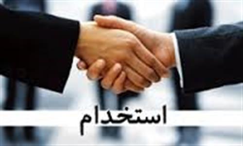 همکاری مترجم