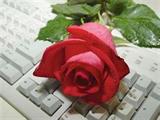 setare - -