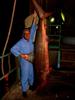 a shark is hunted in oil platform