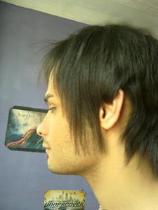 Profile