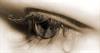 ✿ツ مـن از چـشـمـــان  تـــو  چـیـزی نـمـیـخـواهَــم . . . 

بــه جـــز ،

گــــاهی . . .

نــگــاهـی . . .

اشـتـبـاهـــی ...! ✿ツ

