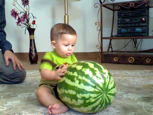باغ با آب چاه عمیق