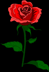 دوستی خوب و سالم
