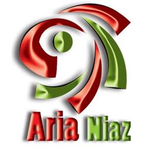 aria niaz