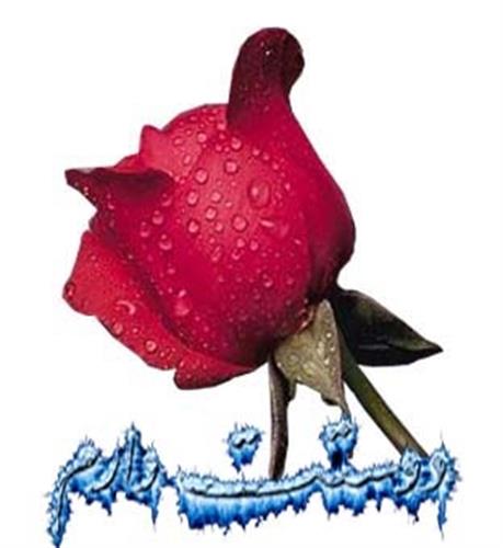 yasser&nbsp;ahmadi