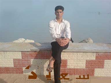saeed gholami