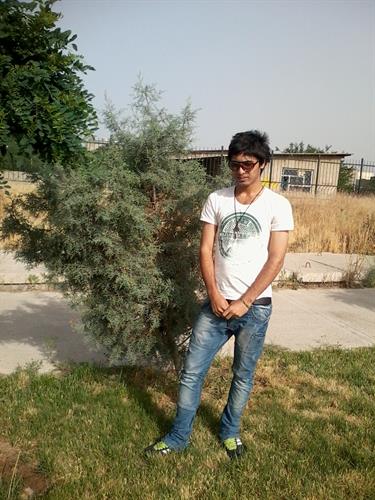 mohsen&nbsp;zare