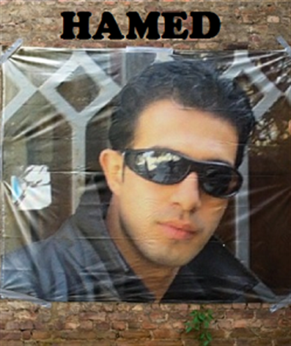 hamed&nbsp;s