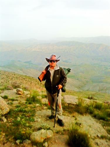 mohsen &nbsp;hasani
