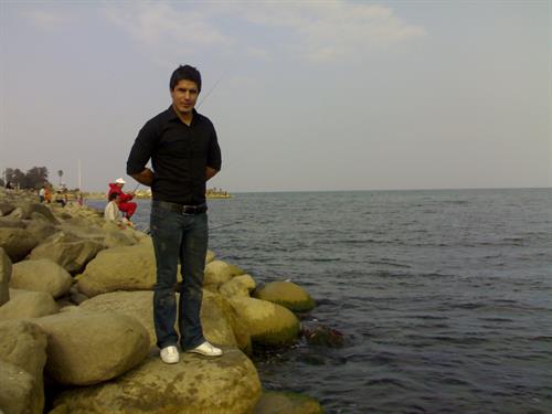 mehran&nbsp;davudian