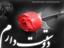 gharibe