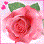 فاطمه