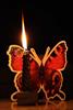 شمع و پروانه