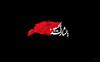 یا لثارات الحسین