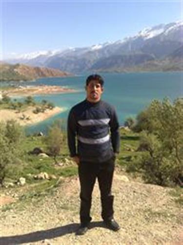 fardin&nbsp;davodi
