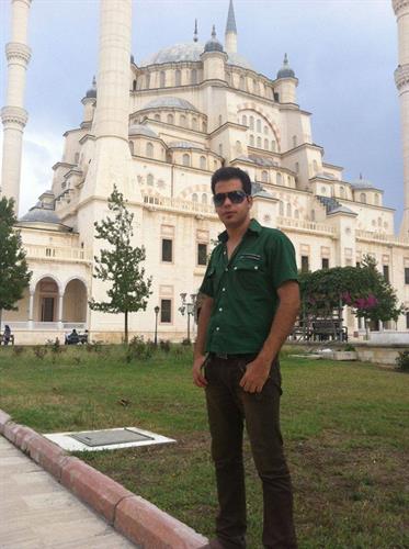hamed&nbsp;........