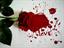 omid