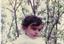 hamed