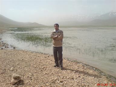 محمد طاهری