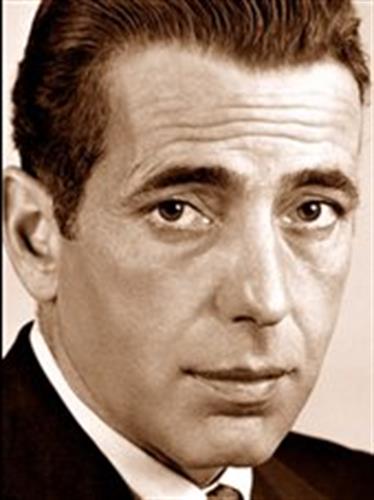 mehran&nbsp;mohammadi