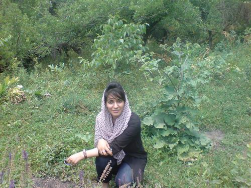 negin&nbsp;hoseini