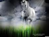 گهی برای تبلیغات کاری _ adslو