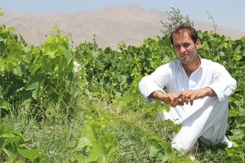 ghsaeed&nbsp;haidry