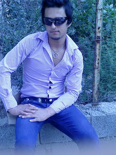 amir&nbsp;hashemi