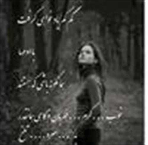 shadi&nbsp;hemati