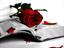 omid
