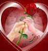 بچه های شهریار و فردیس