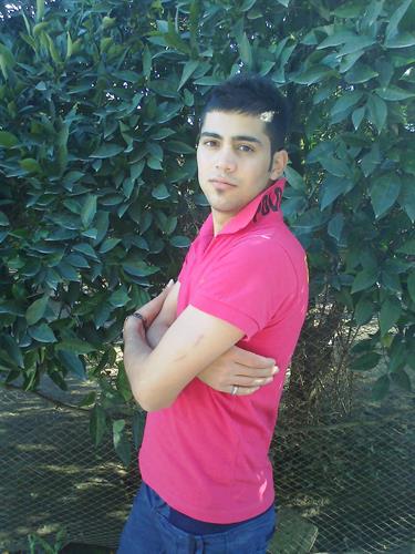 ¤ali¤&nbsp;pesaredarya