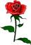 mohsen