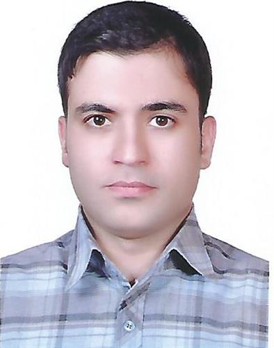 parsa&nbsp;amini