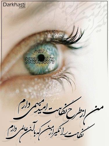 ali&nbsp;sam