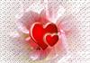 dokht@r khoshgela 