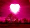 love city