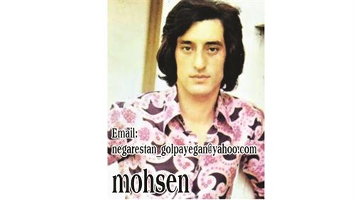 mohsen&nbsp;kamani