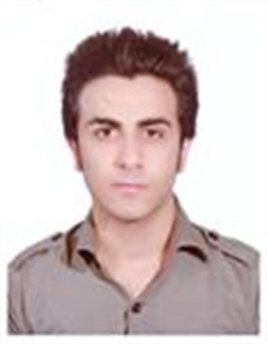 saman &nbsp;sajedi