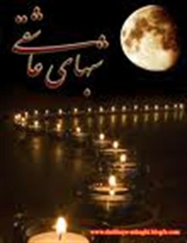 samira&nbsp;shams